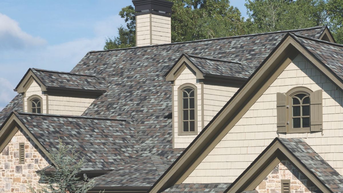 How Tree Coverage Around Philadelphia Homes Can Affect Roof Lifespan