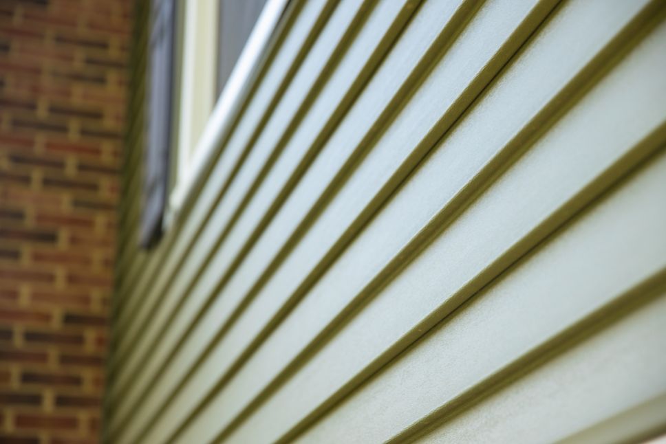 What Causes Mold or Mildew Growth on Siding?